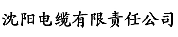 亚洲日韩中文无码视频电缆厂logo